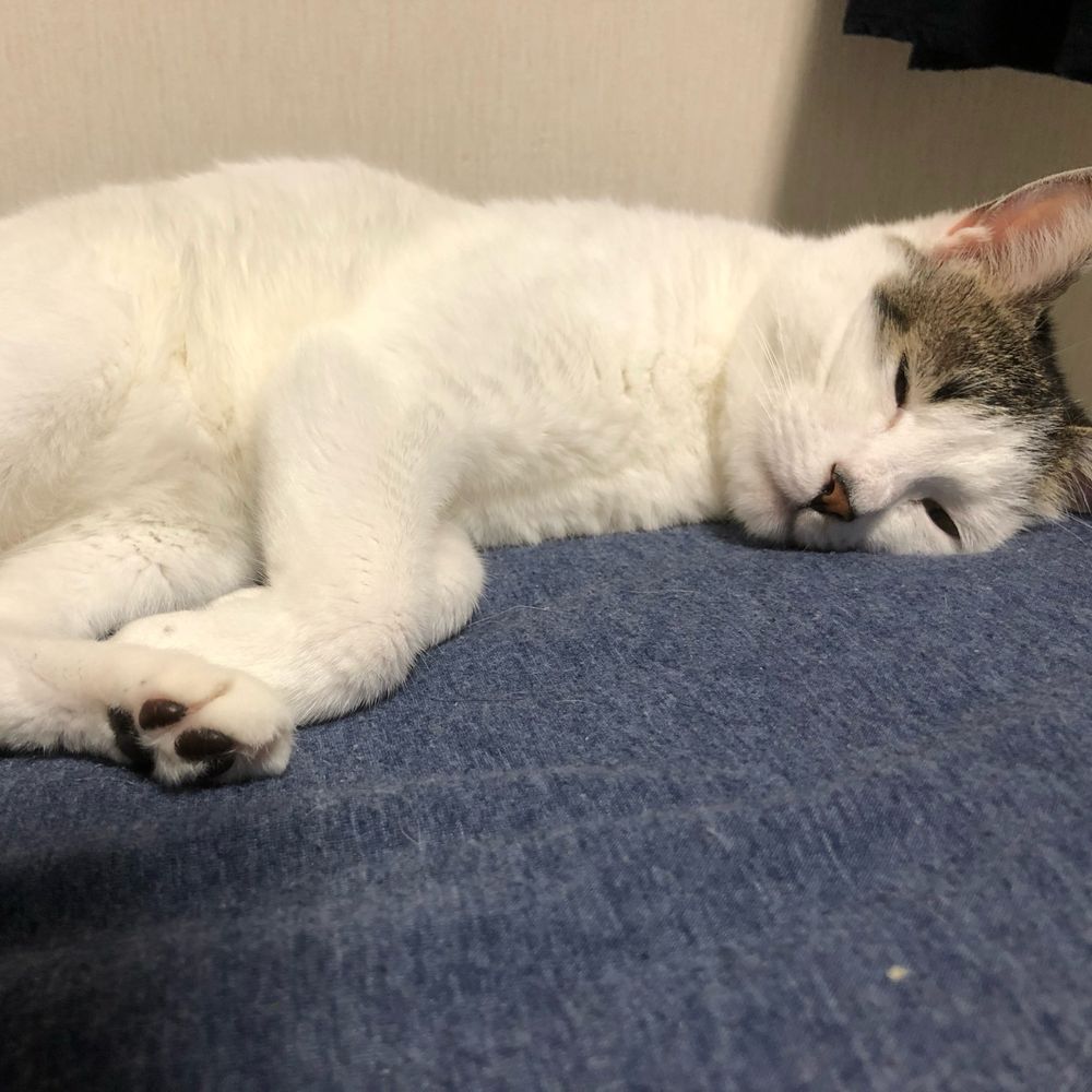 とうすけ