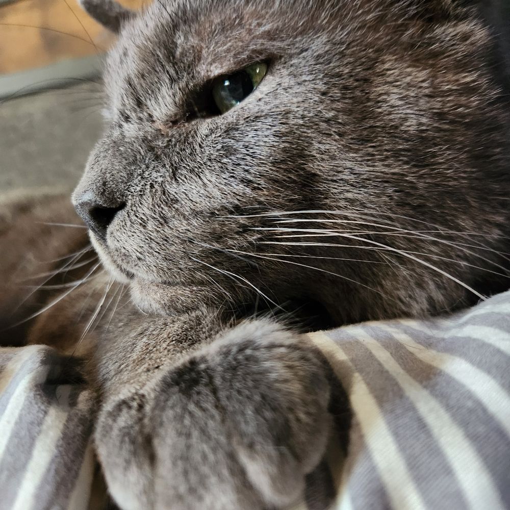 Victor