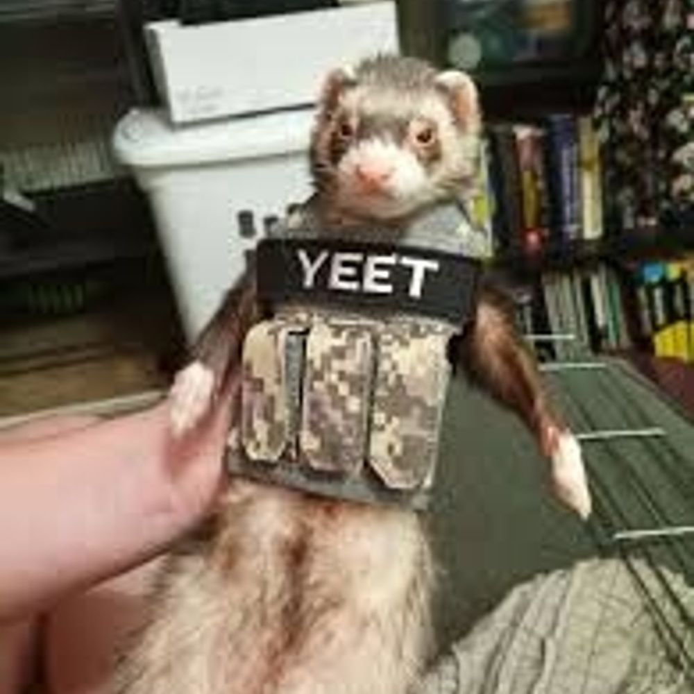 Throwable Ferret