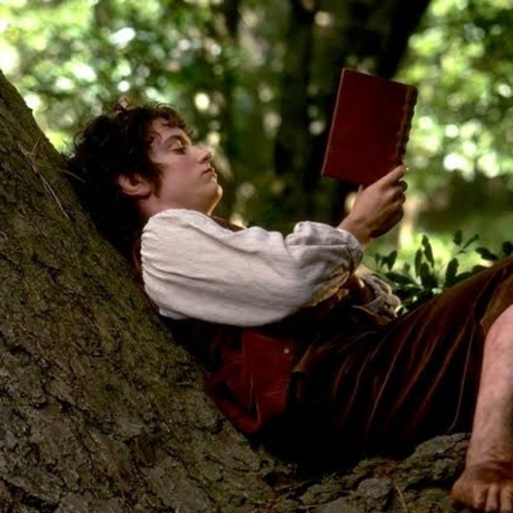 Frodo Concurseiro