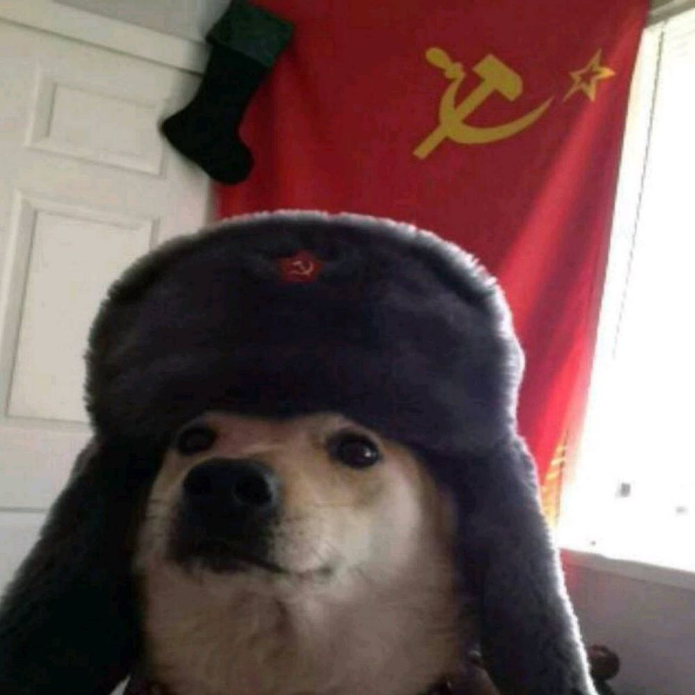 Pepsula 