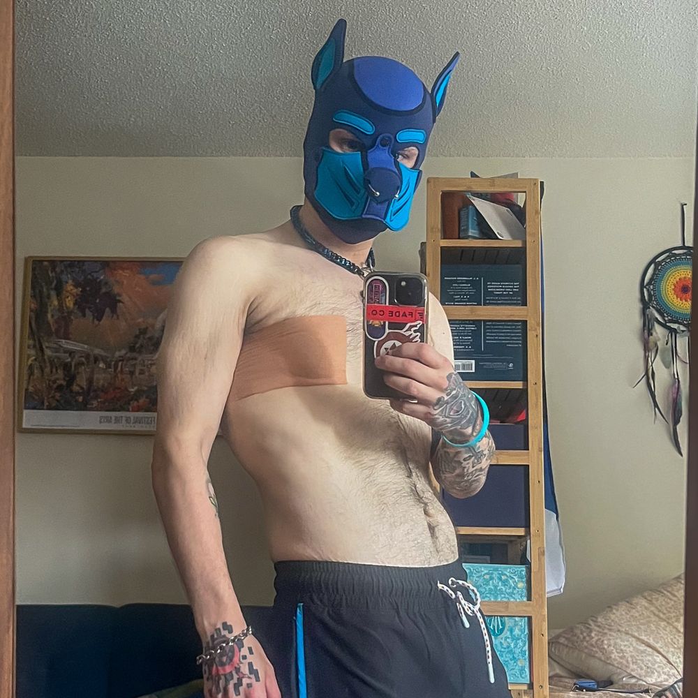 Pup Stitch 🐶🐾🏳️‍⚧️'s Avatar