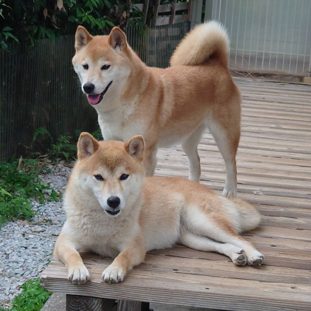 かん
