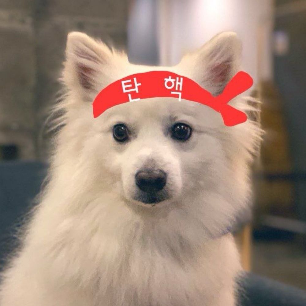 菌某