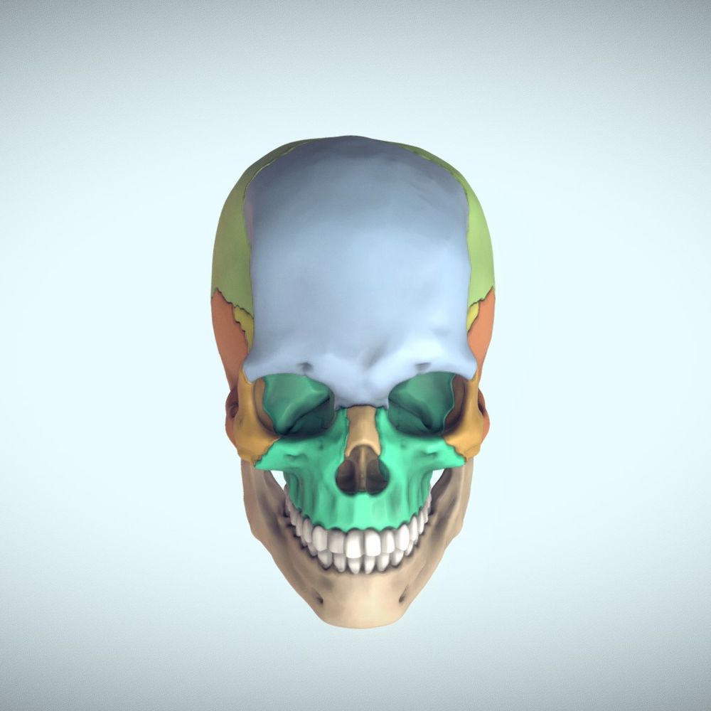 Death Deathington