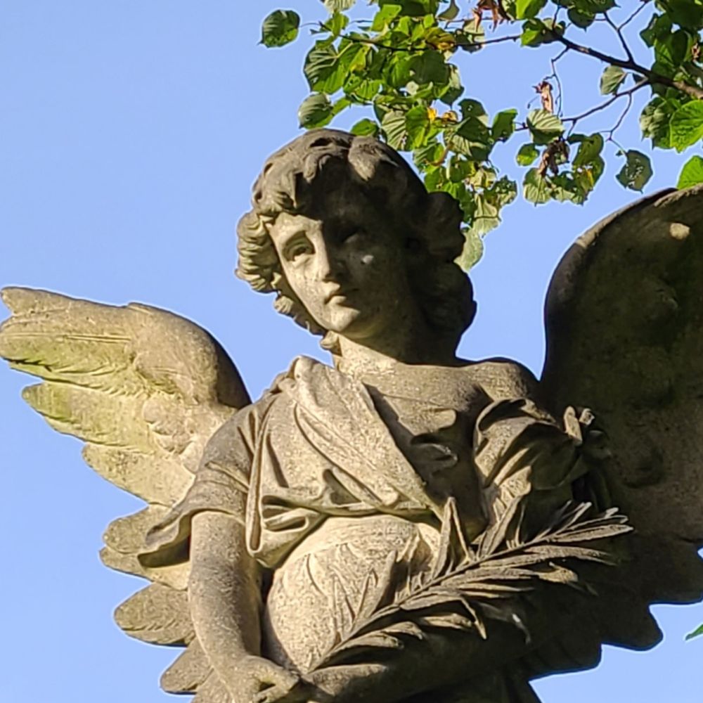 feuervogel