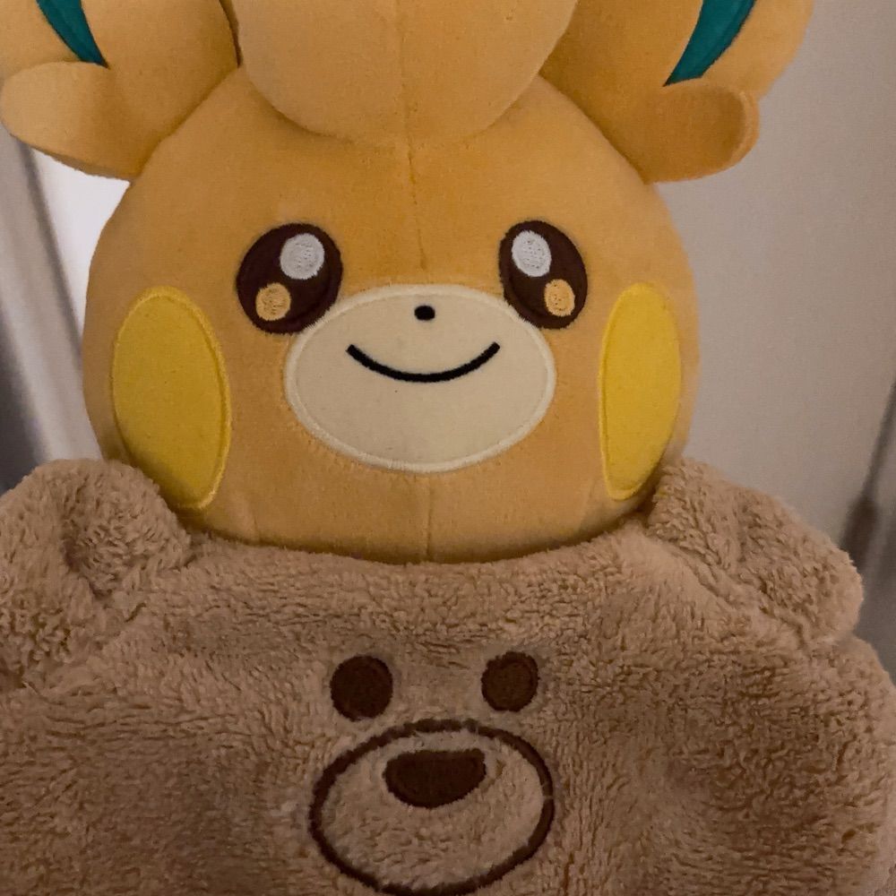 どし太郎