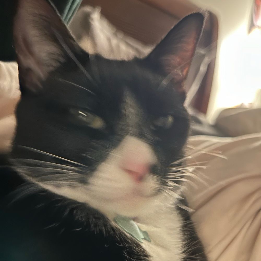 slyvie