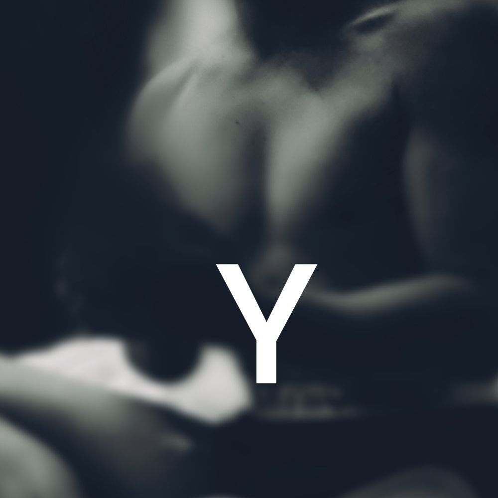 Y의일상