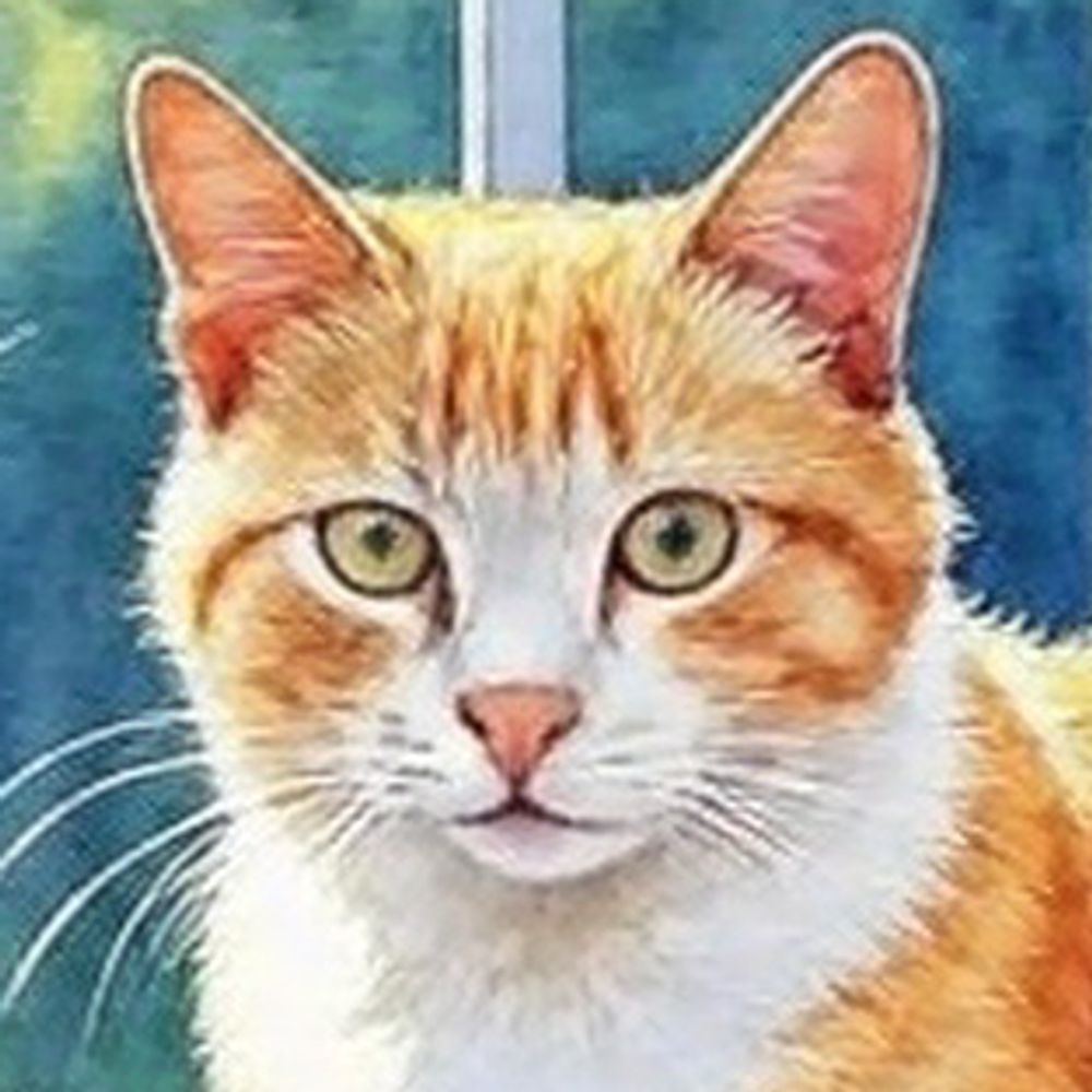 ニーナ