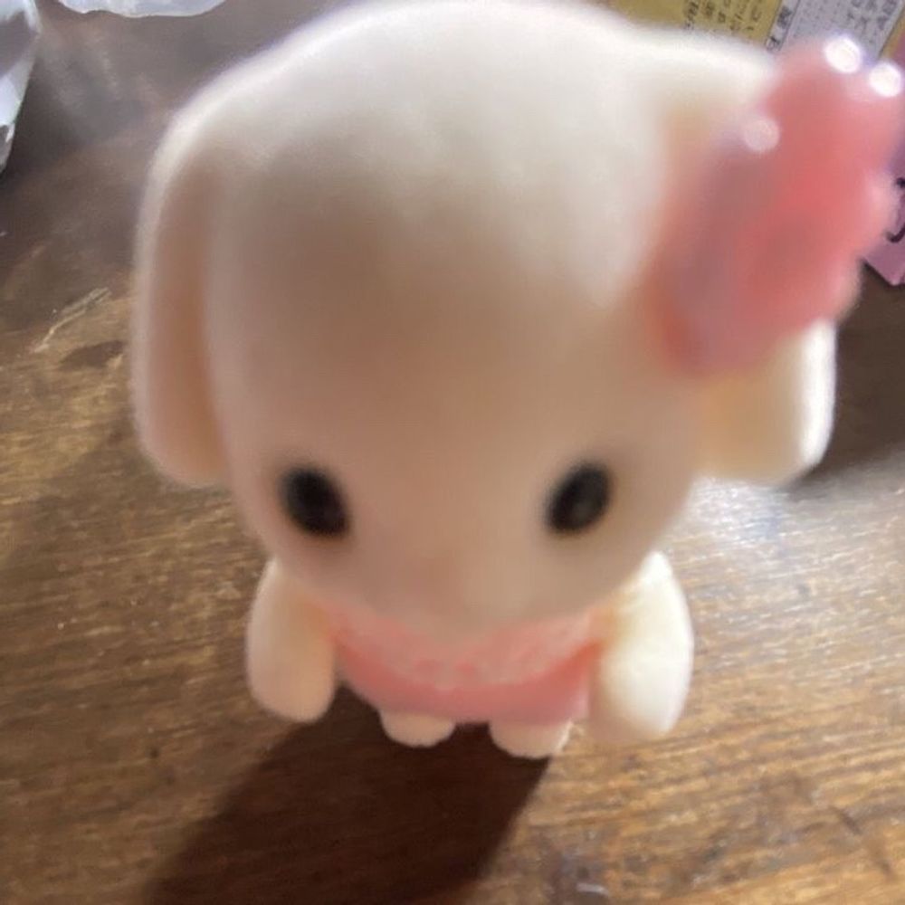 waa