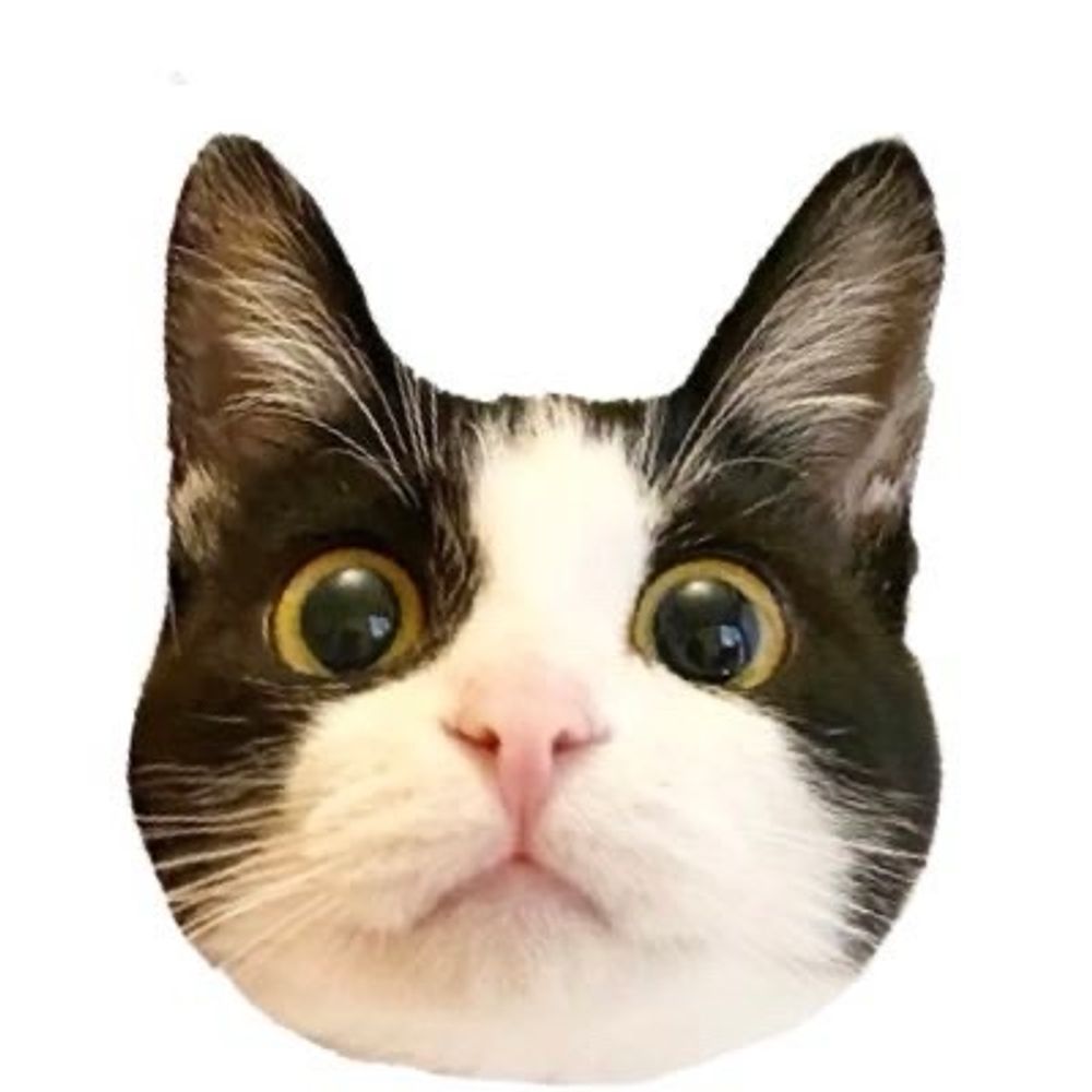 ドン・ぶっちゃ