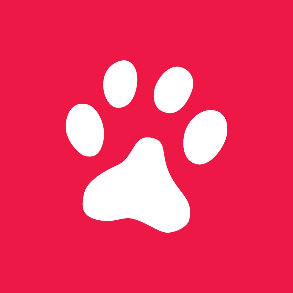 WildKat
