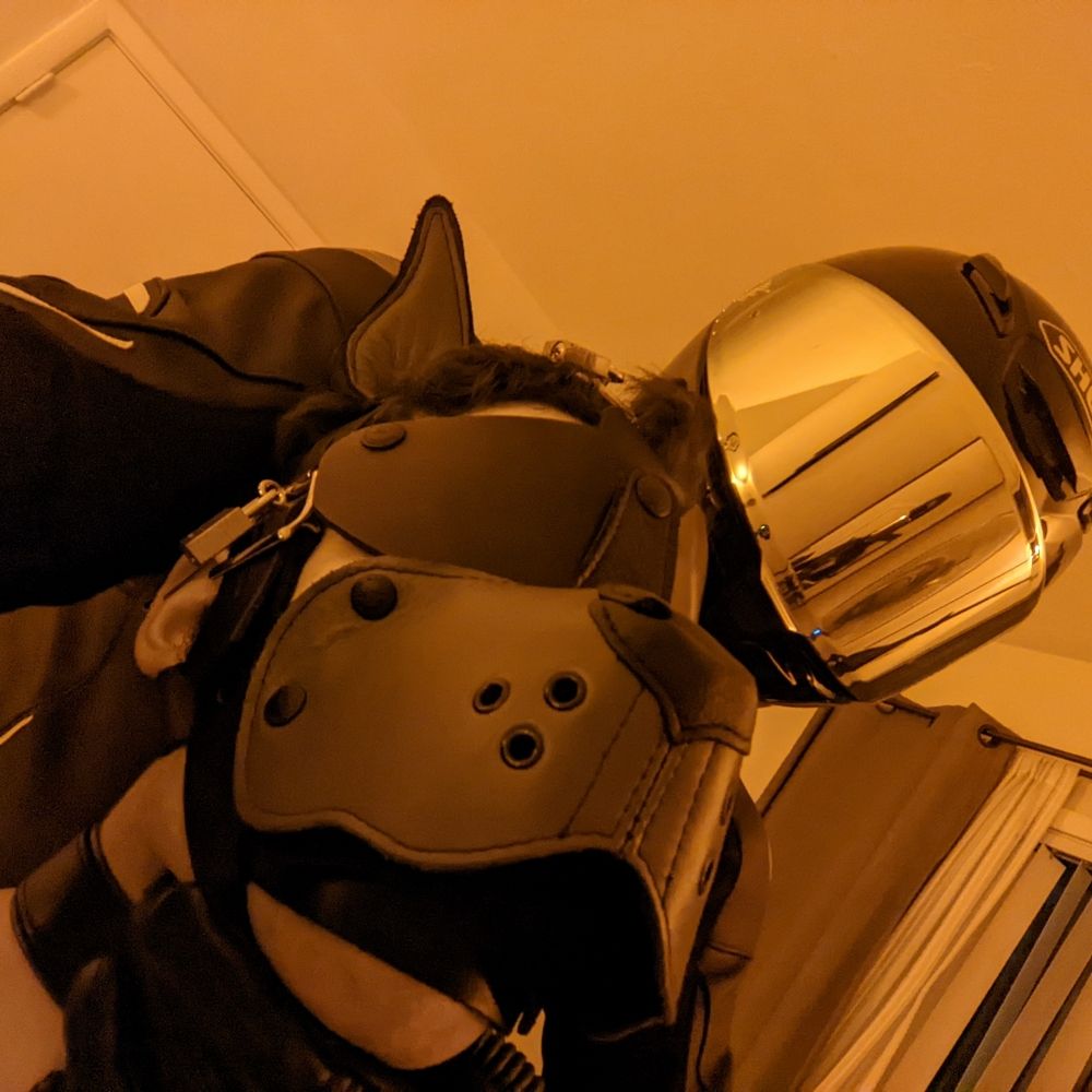 Lockedsubboy