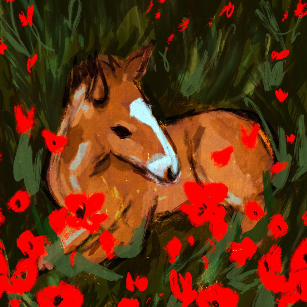 V M Wald