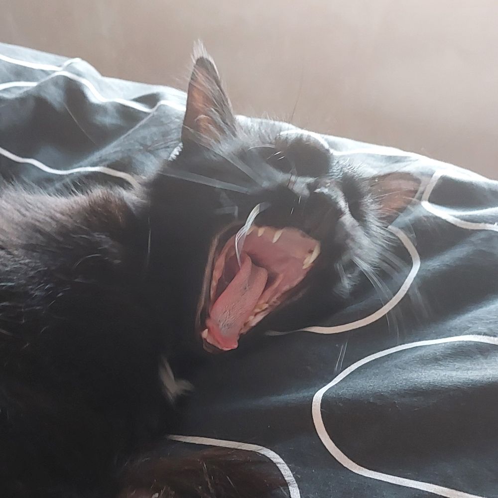 dan
