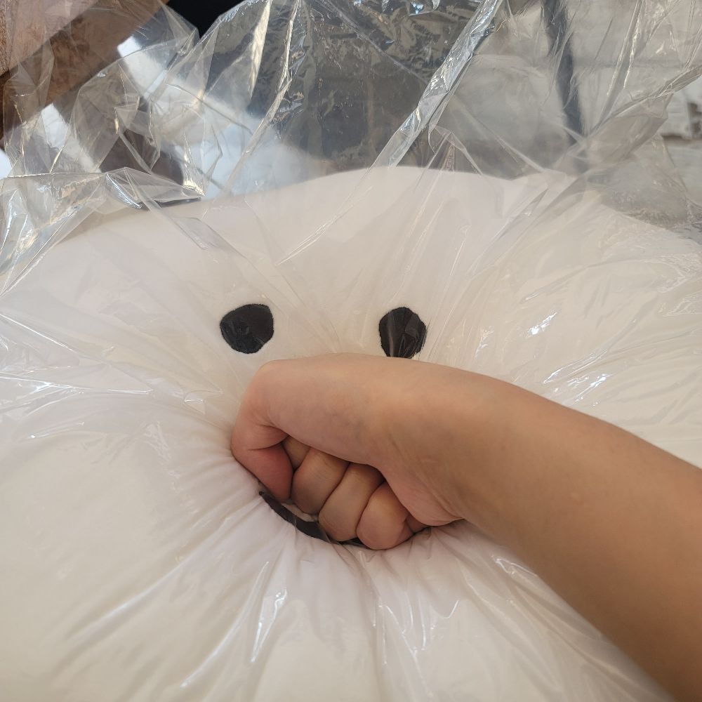 캉햄