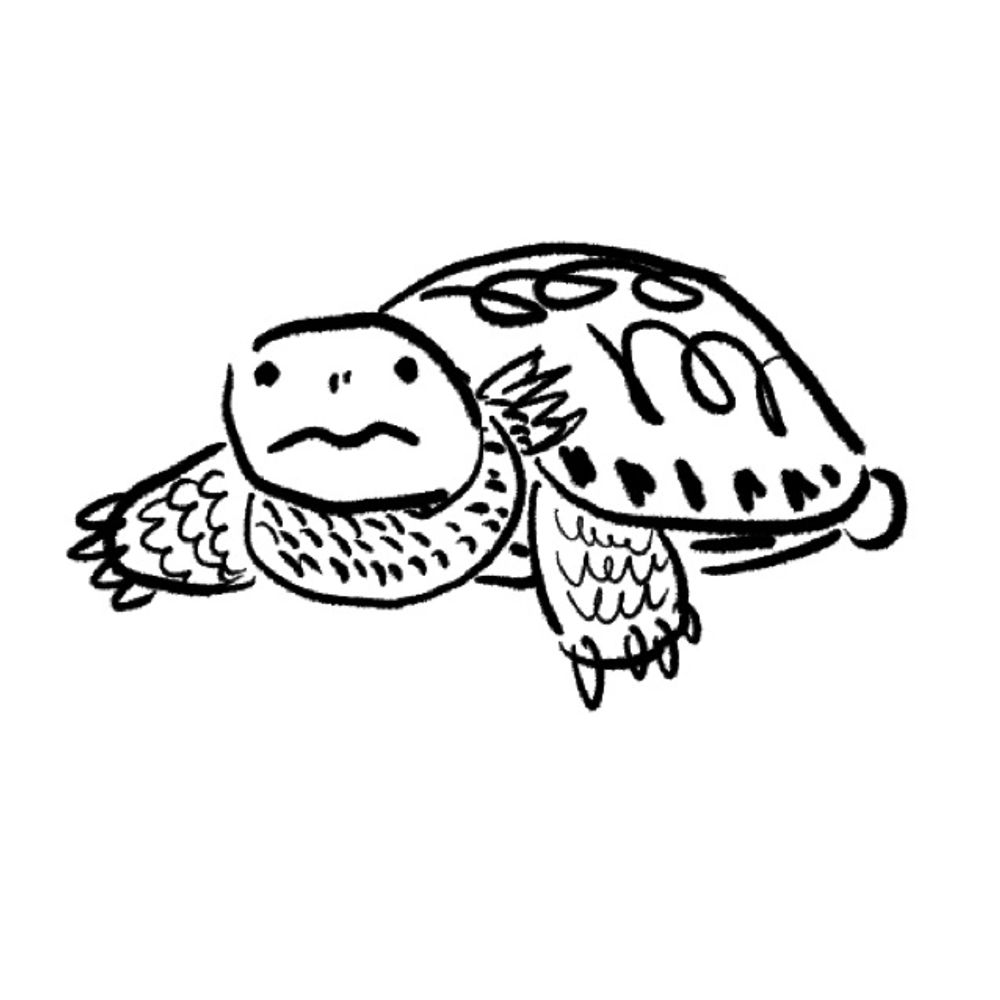 ハスダ