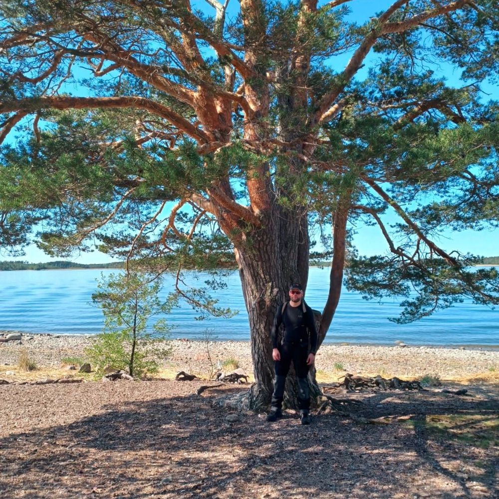 Rauno Varjonen
