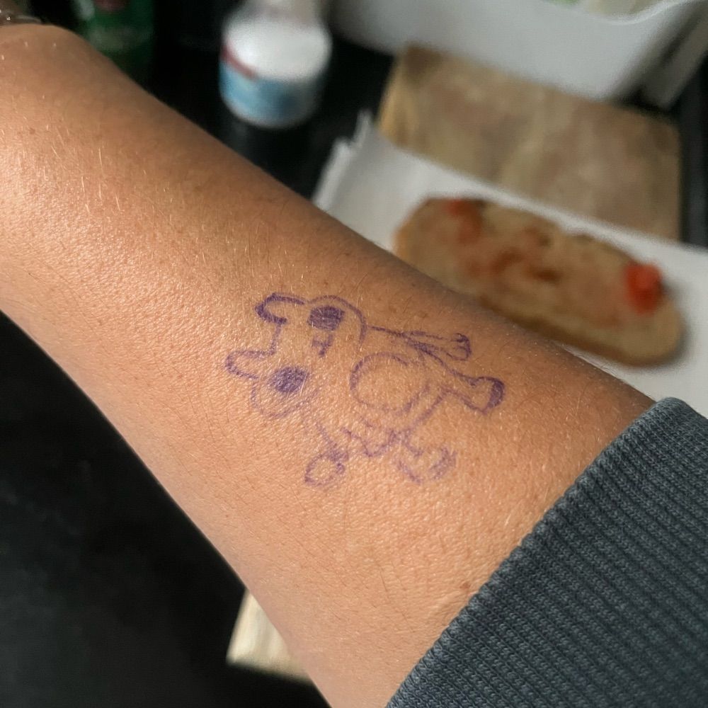 Iv