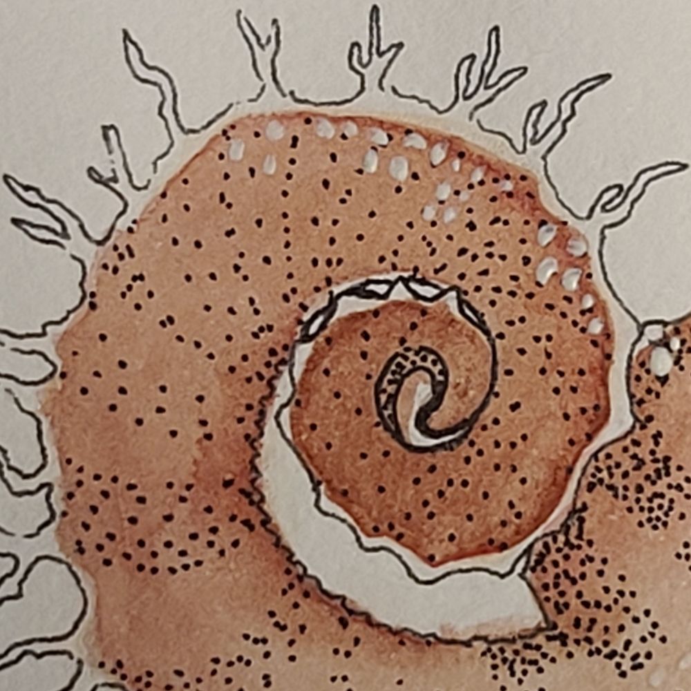 S. J. Aquarelle