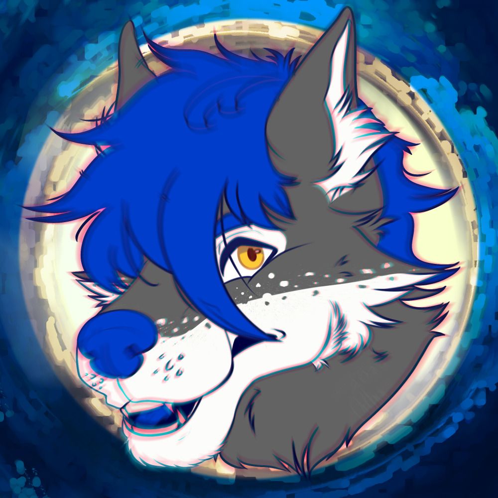 ivip 🐺