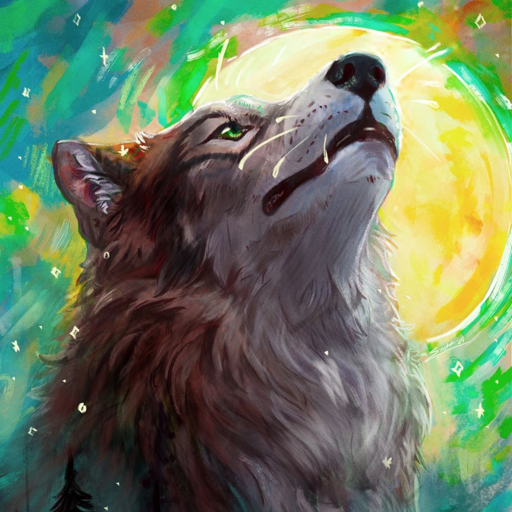 Southpaw the Wolfyote