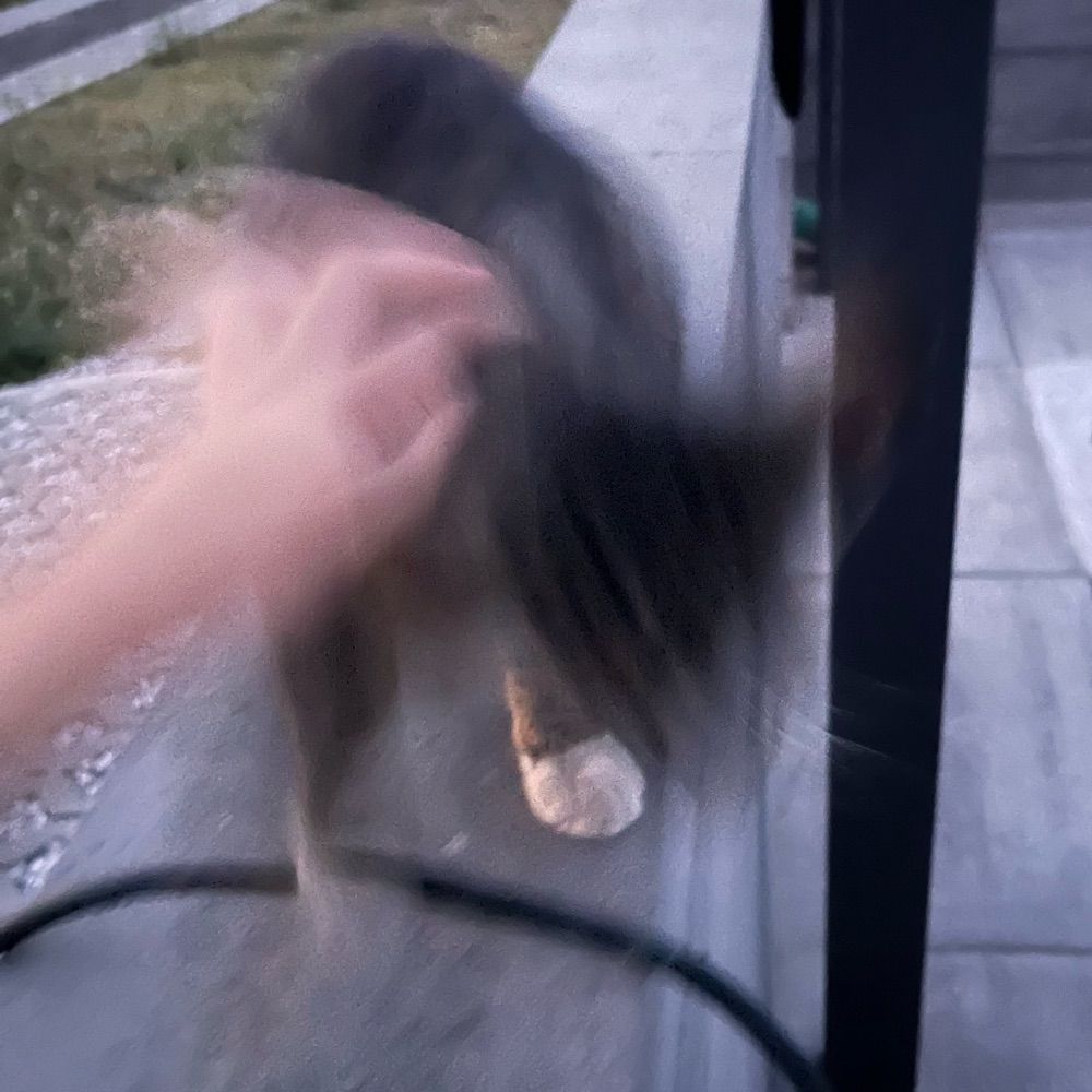 Felix