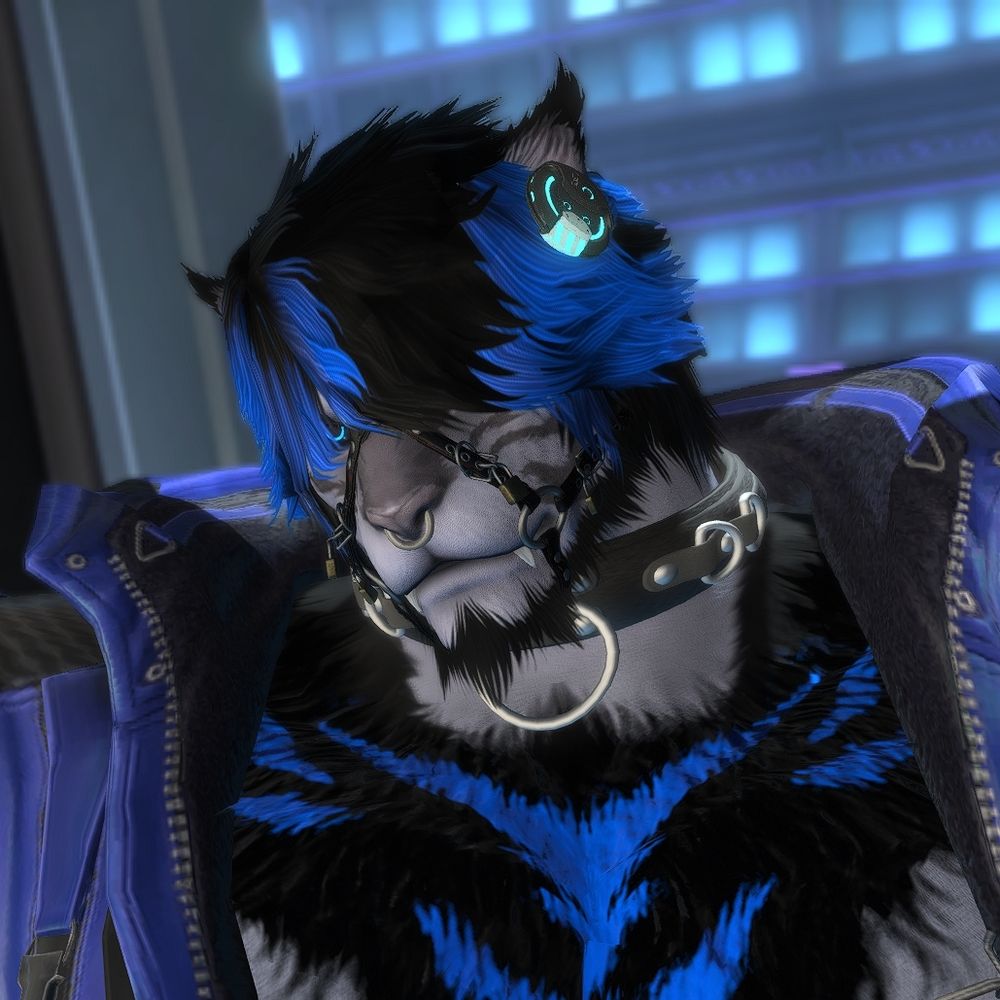 CyberCat CEO