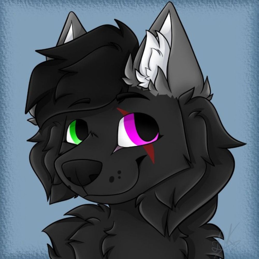 Jake the Wolf-ON