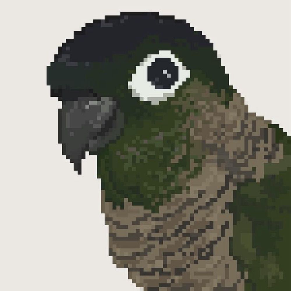 Toddish