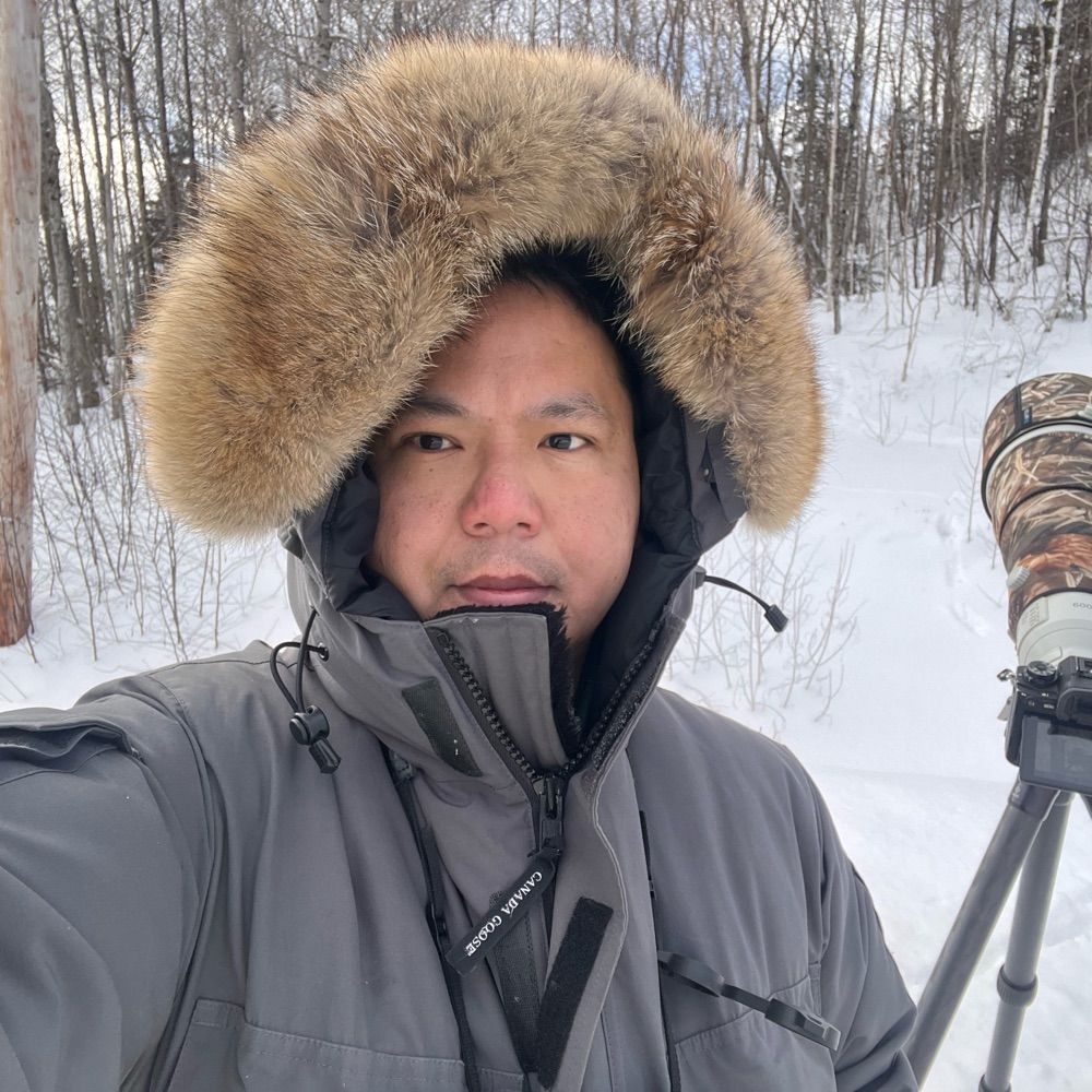 David Lei