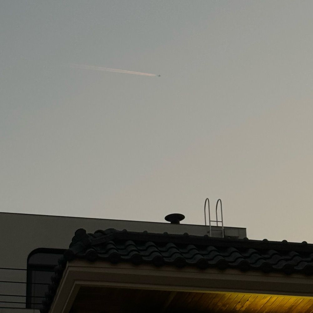 몰댄