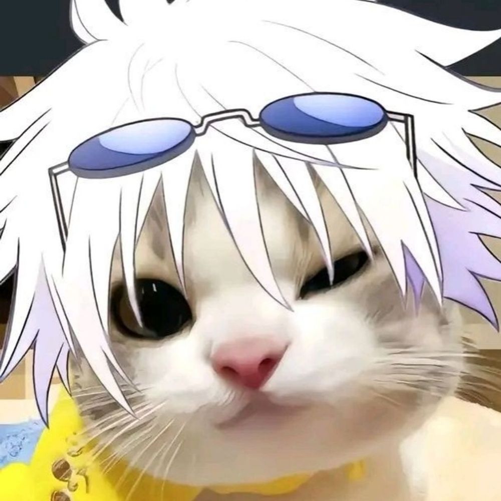 prof dra kez 2