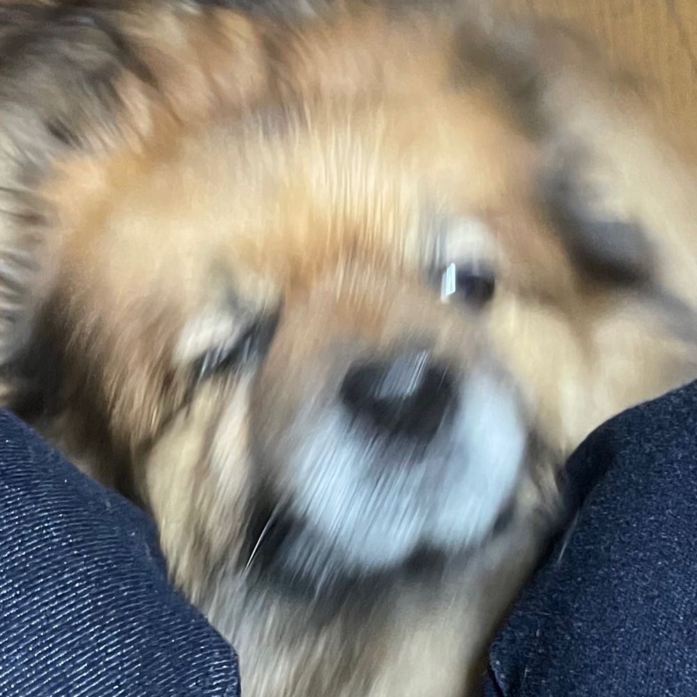 ろな