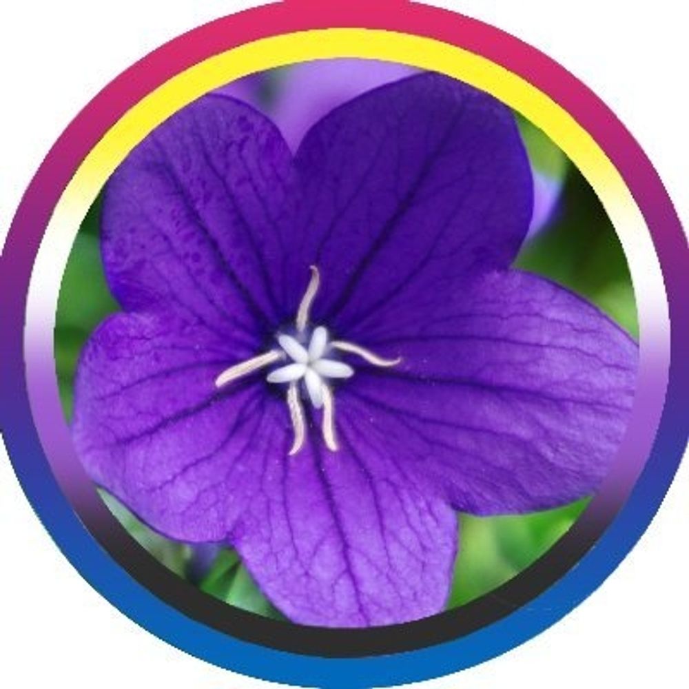 VioletWarlock