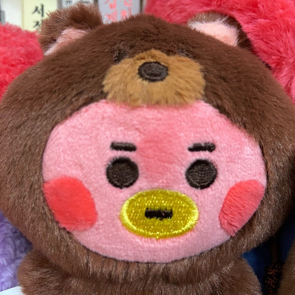 •̀ᴥ•́ 디스코팝포킹