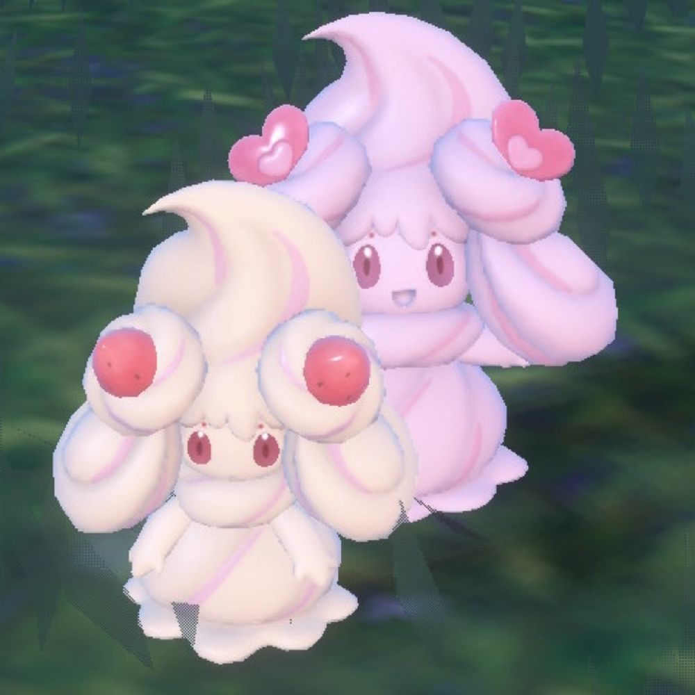 🌈🐈‍⬛くろにゃん🌹🦙