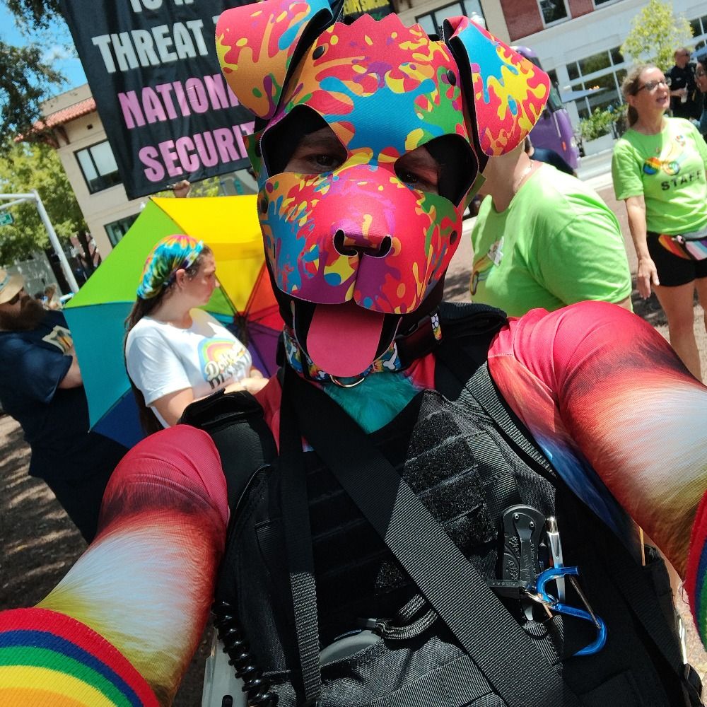Prism the Pride Puppy