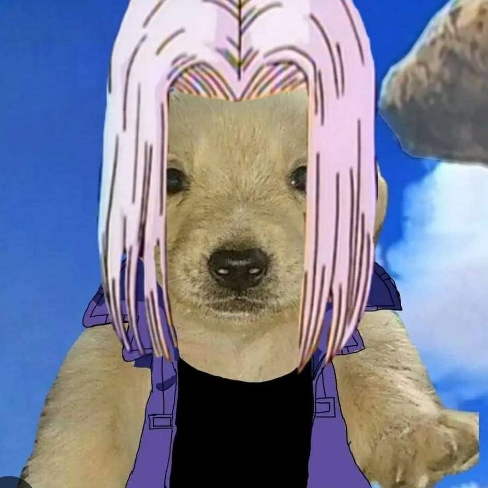 JavTRN 