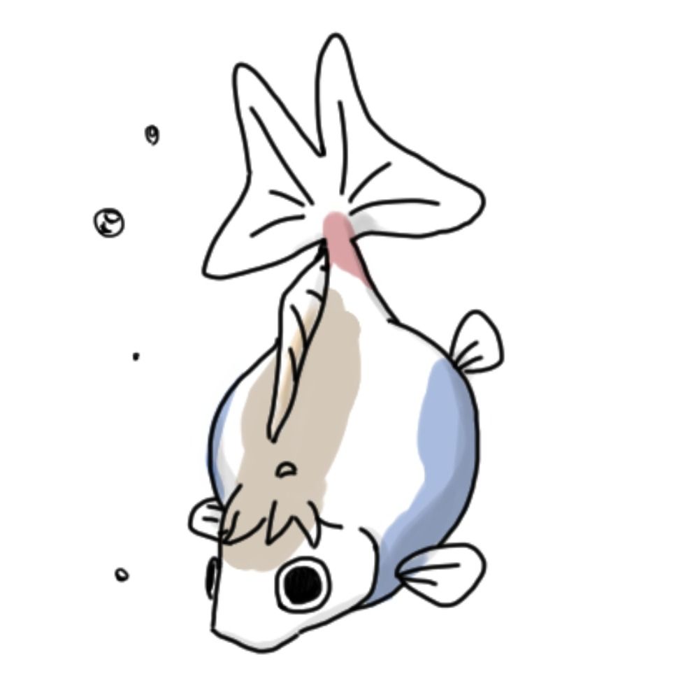 ぽてマヨ