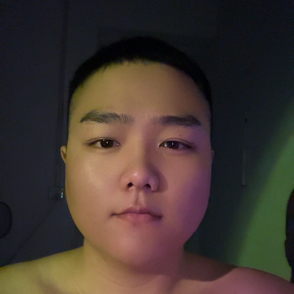 团子是只熊