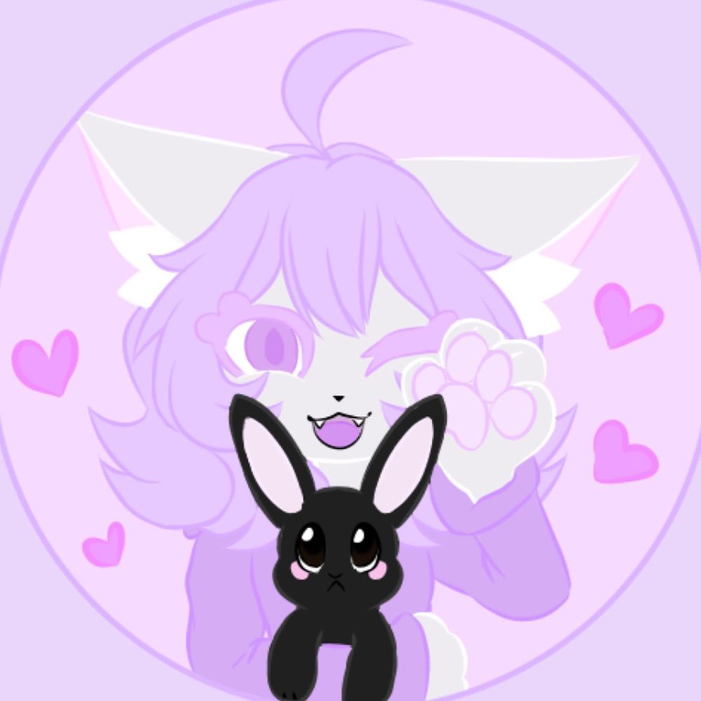 ☁∘₊✧KittyIsMango✧₊∘🌙