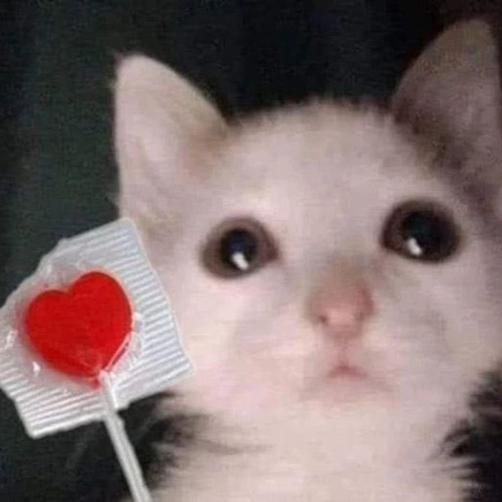 ㄒㄒ