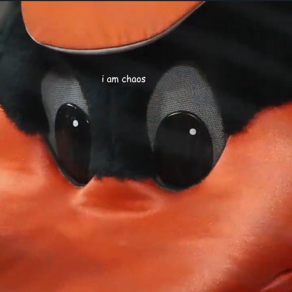 seanaroo