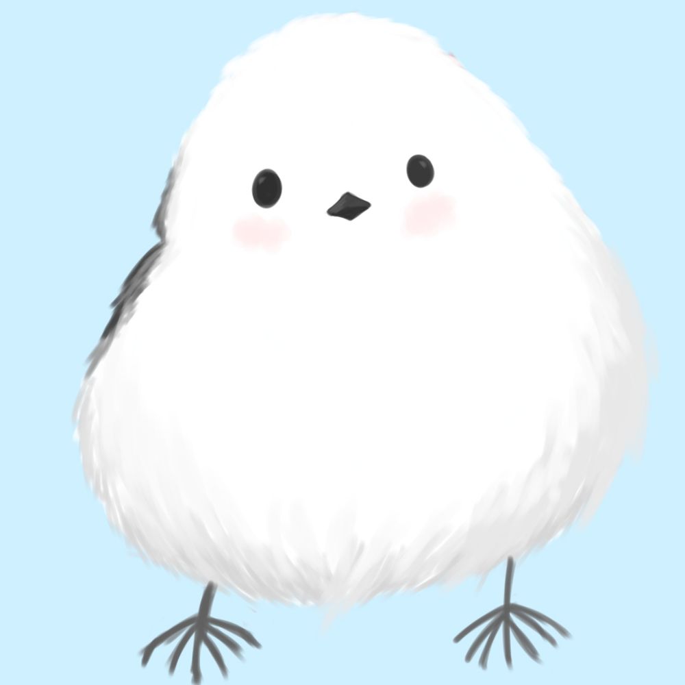 pipi