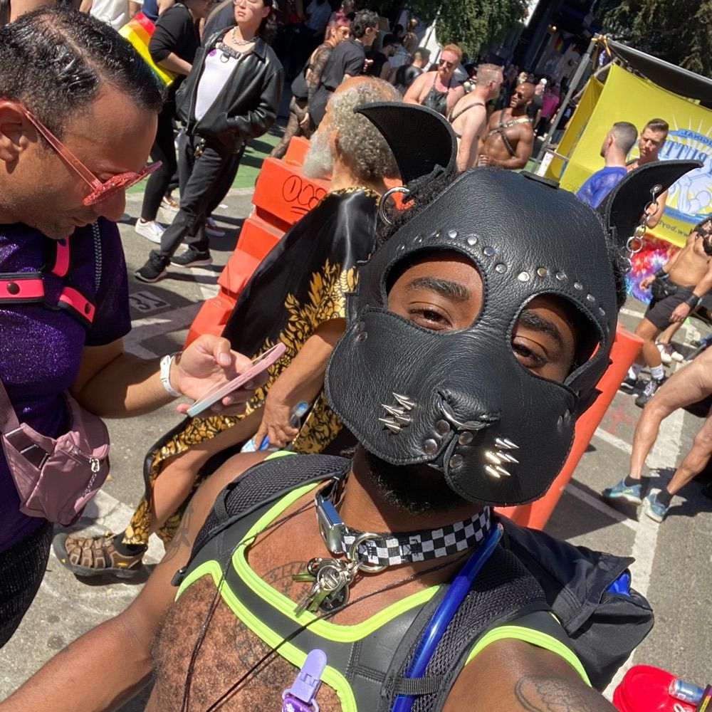 Portland Little Pupper