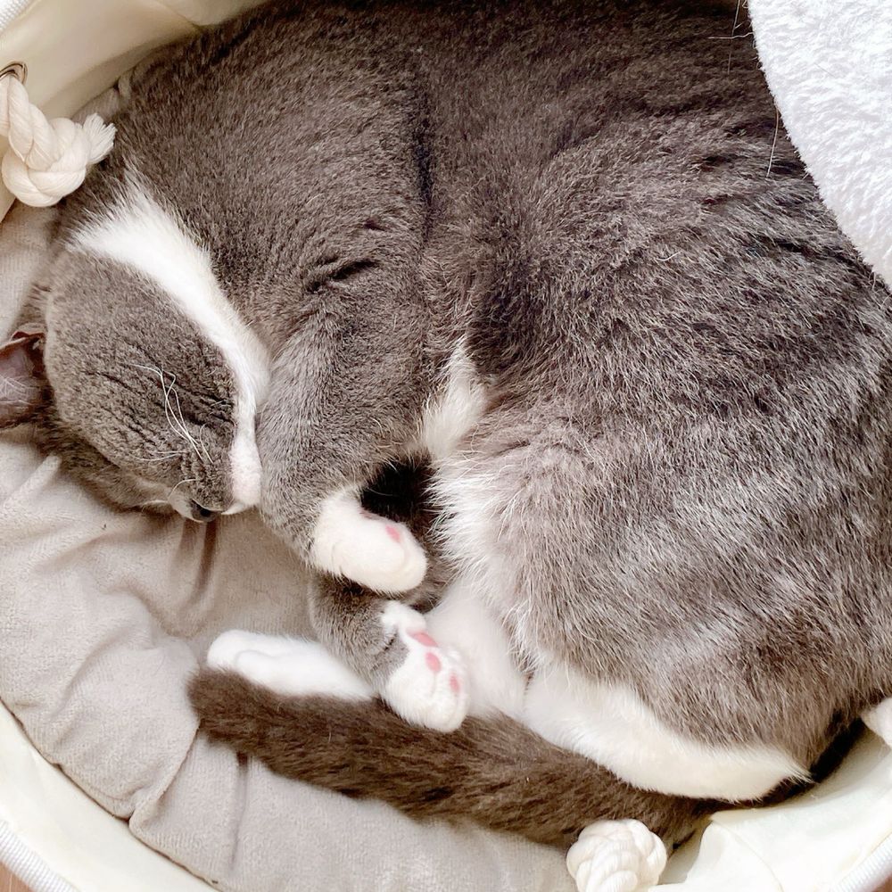 炉