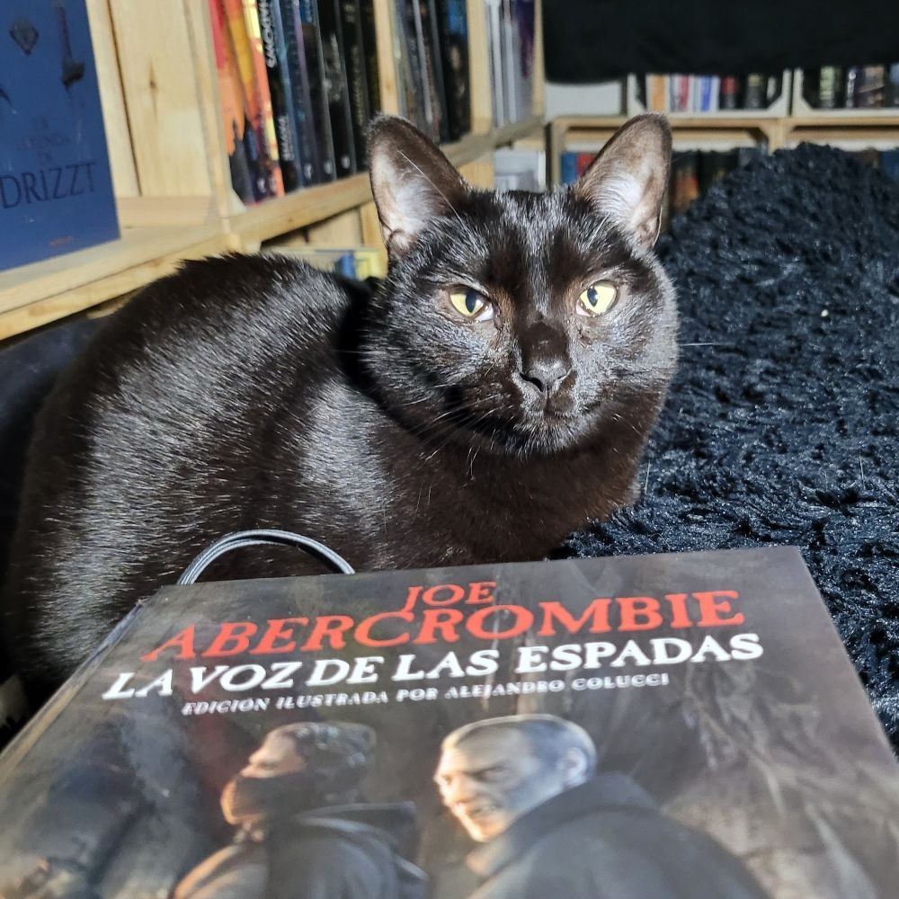 Erl·lin🇰🇷💜🐈‍⬛🐈📚