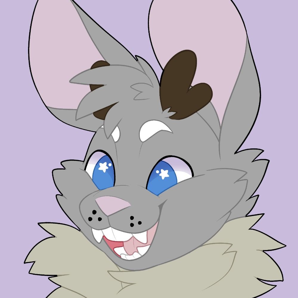 Sunney Rabbit